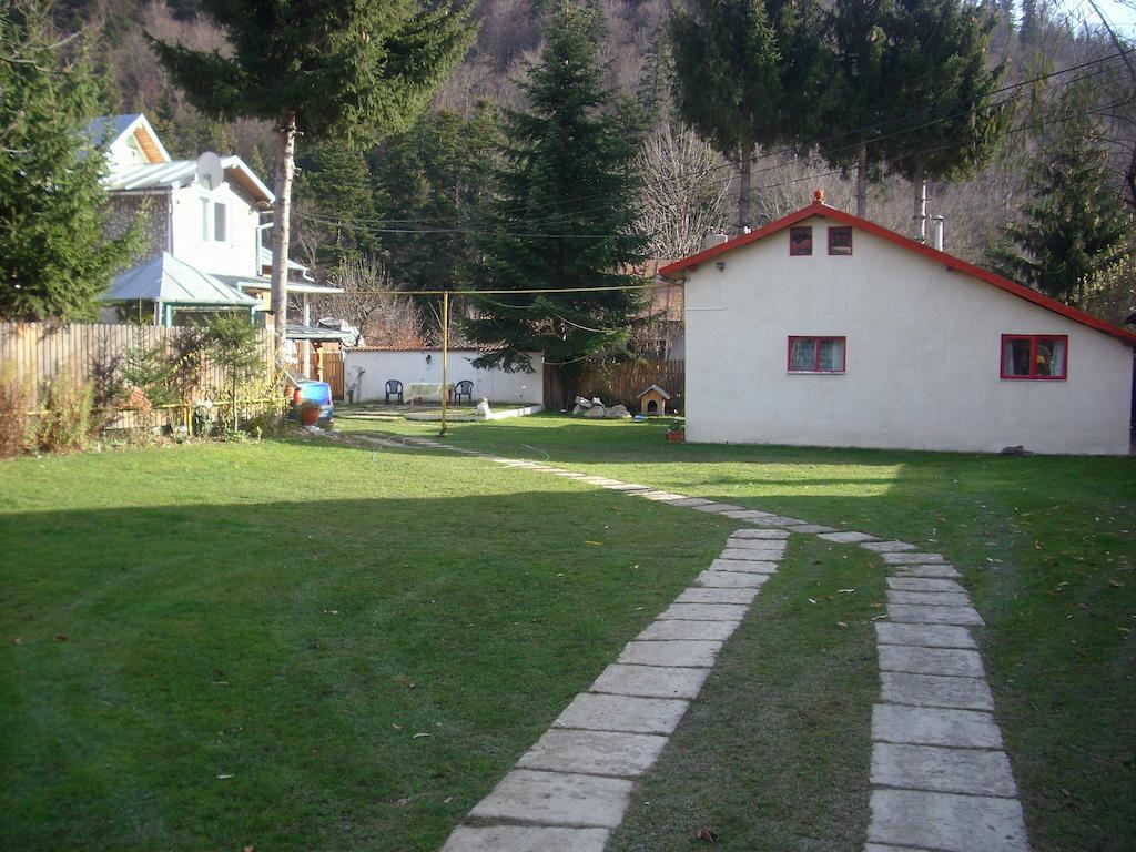 Pensiunea Montan Buşteni Exterior foto